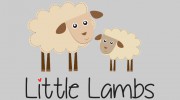 Little Lambs
