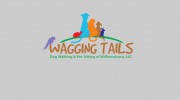 Wagging Tails Dog Walking & Pet Sitting Of Williamsburg