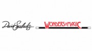 David Seebach's Wonders Of Magic