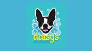 Daisy's Pet Grooming