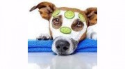 Rocky's Purr-fect Paws Mobile Grooming