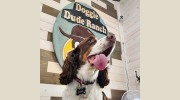 DOGGIE Dude Ranch