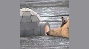 All Air-Conditioned Self Storage