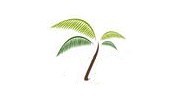 The Green Team Of Southwest Florida