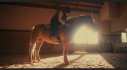 Albany Therapeutic Riding Center