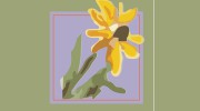 Cottage Grove Florist