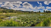 Durango Red Cliff Properties
