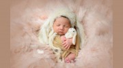 Diana De La Pena Photography