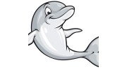 Dolphinz Swim School