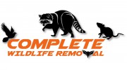 Wildlife Control