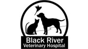 Black River Veterinary Hospital