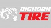 Professional Brake Service