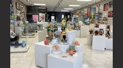 Sea Grape Artists Gallery