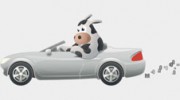 Moo Loans