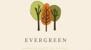 Evergreen Tree Trimming & Removal Service