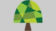 Willow Tree Child Care