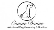 Canine Divine