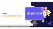 Princess Dental Staffing