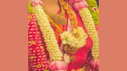 Indian Flowers