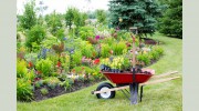 Element Landscaping