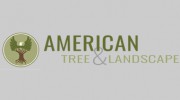 American Tree & Landscape
