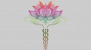Care Therapeutic Massage