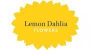 Lemon Dahlia
