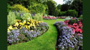 Domingo's Landscaping