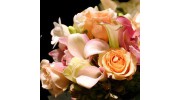 Bloomster's
