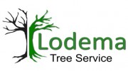 Lodema Tree Service