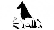 A+ Luxury Dog & Cat Grooming