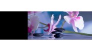 Pasadena Acupuncture & Foot Reflexology