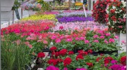 Ray Schultz Farm & Greenhouse