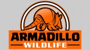 Armadillo Wildlife