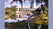 Buzz Nola Bike Tours & Rentals