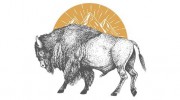 Noble Bison Productions