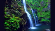 MAUI HYPNOSIS & Hypnotherapy