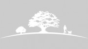 Pointe Place Development