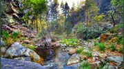 Ramsey Canyon Cabins