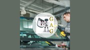 Gainesville Auto Glass