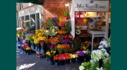 Mill Valley Flowers