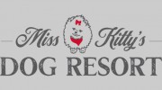Nashville's All Inclusive Pet