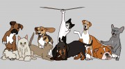 Brady's Pet Sitting Services