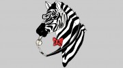 Zebra Books