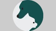 Sarasota Animal Medical Center