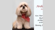 Ardy's For Paws