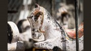 Tampa Bay Salvage