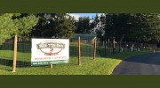 Rin Tin Inn