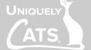 Cat Maintenance & Repair