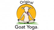 Original Goat Yoga